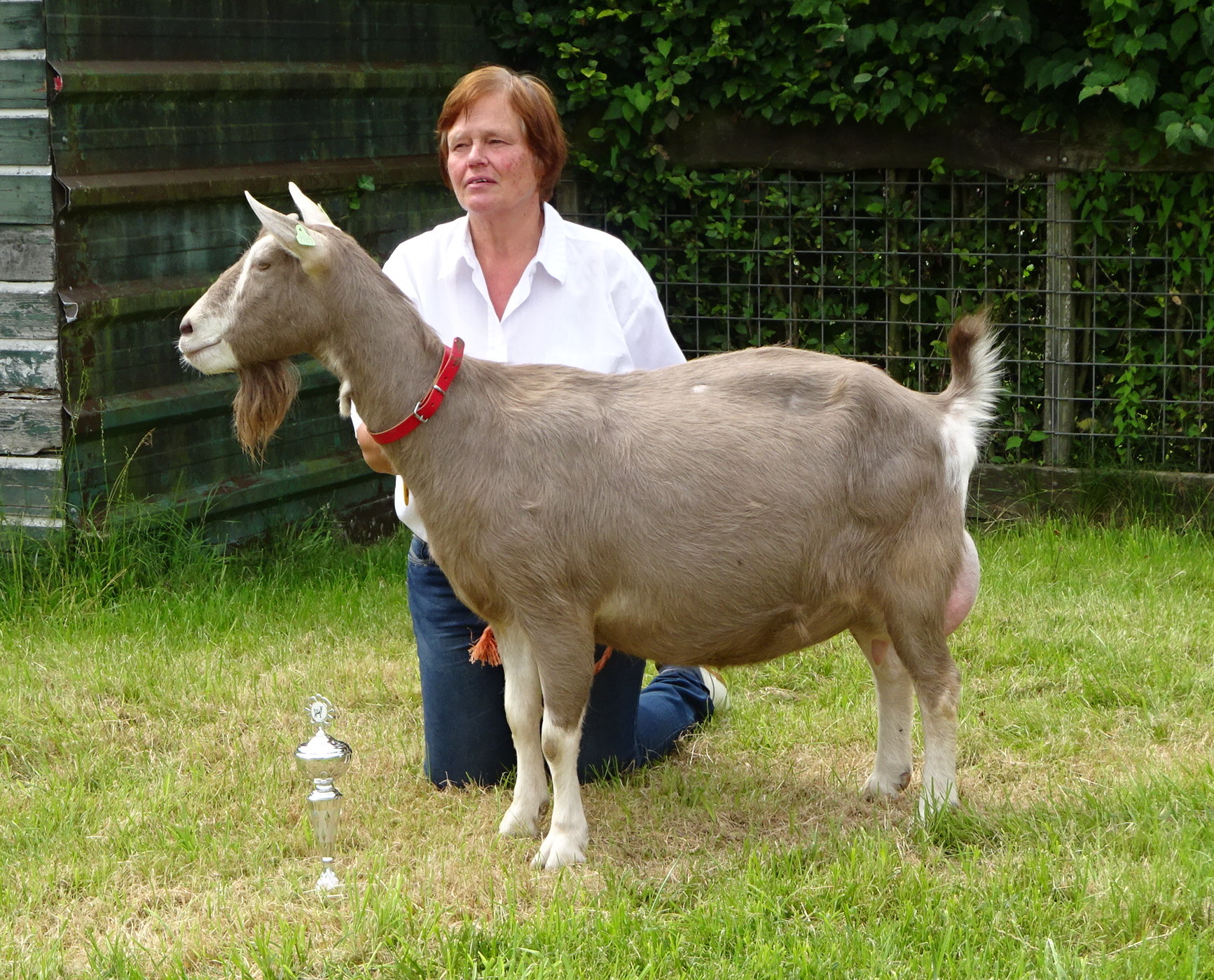 DSC05955 alg. kampioen