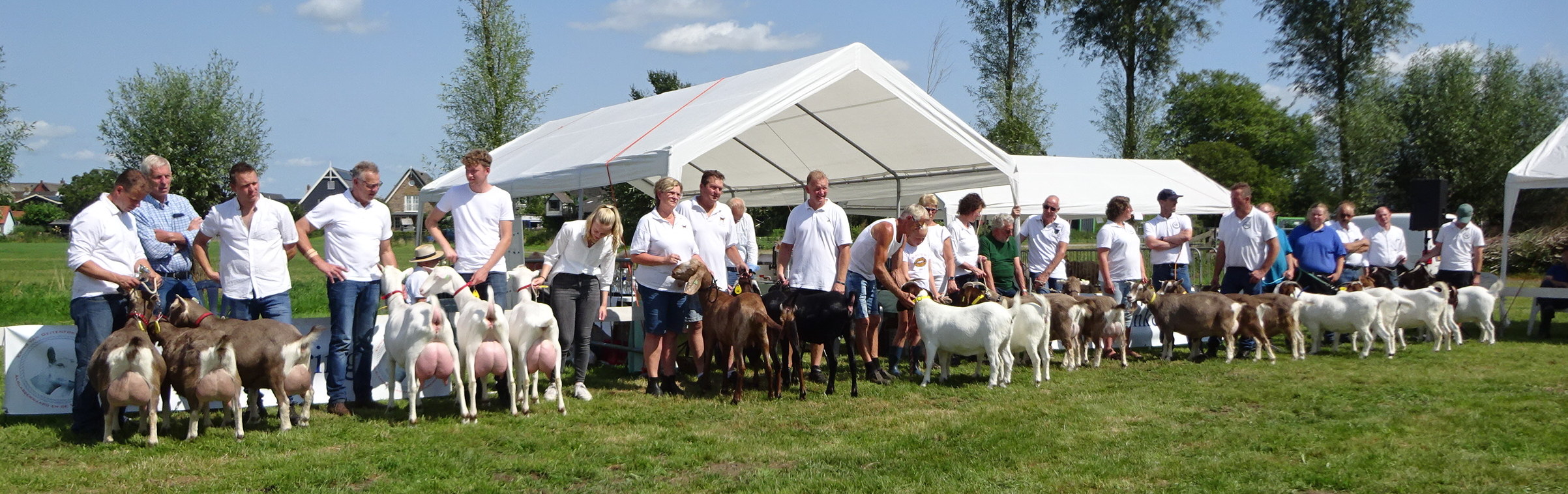 DSC06254 eigenaarsgroepen